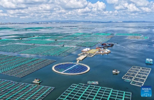Marine economy and ocean science 